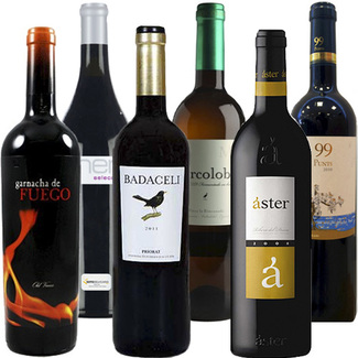Lote-club-vinos-junio_logo