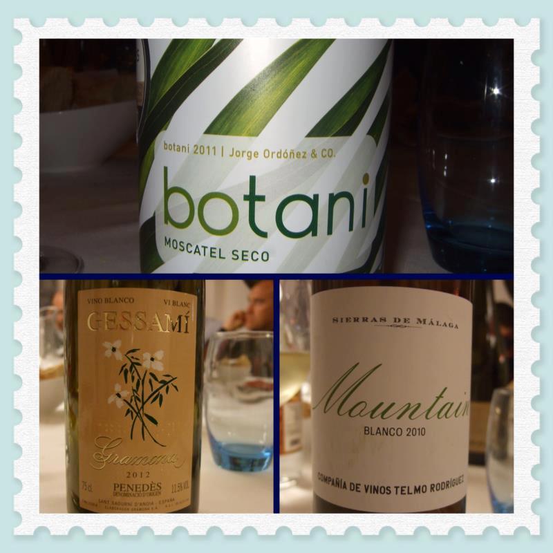 cata vinos moscatel