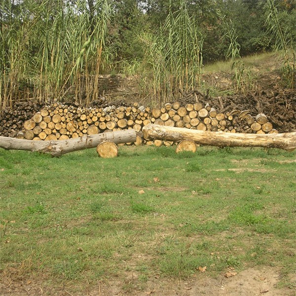 I aquesta és la foto que surt amb el menú de la canalla... ;-p
