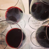 Cata-bodegas-muga-vinos-encuentro-verema_thumb
