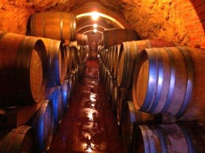 Bodega subterránea Centum Cadus de Justo Casado