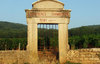 Vignes-latricieres-1_thumb