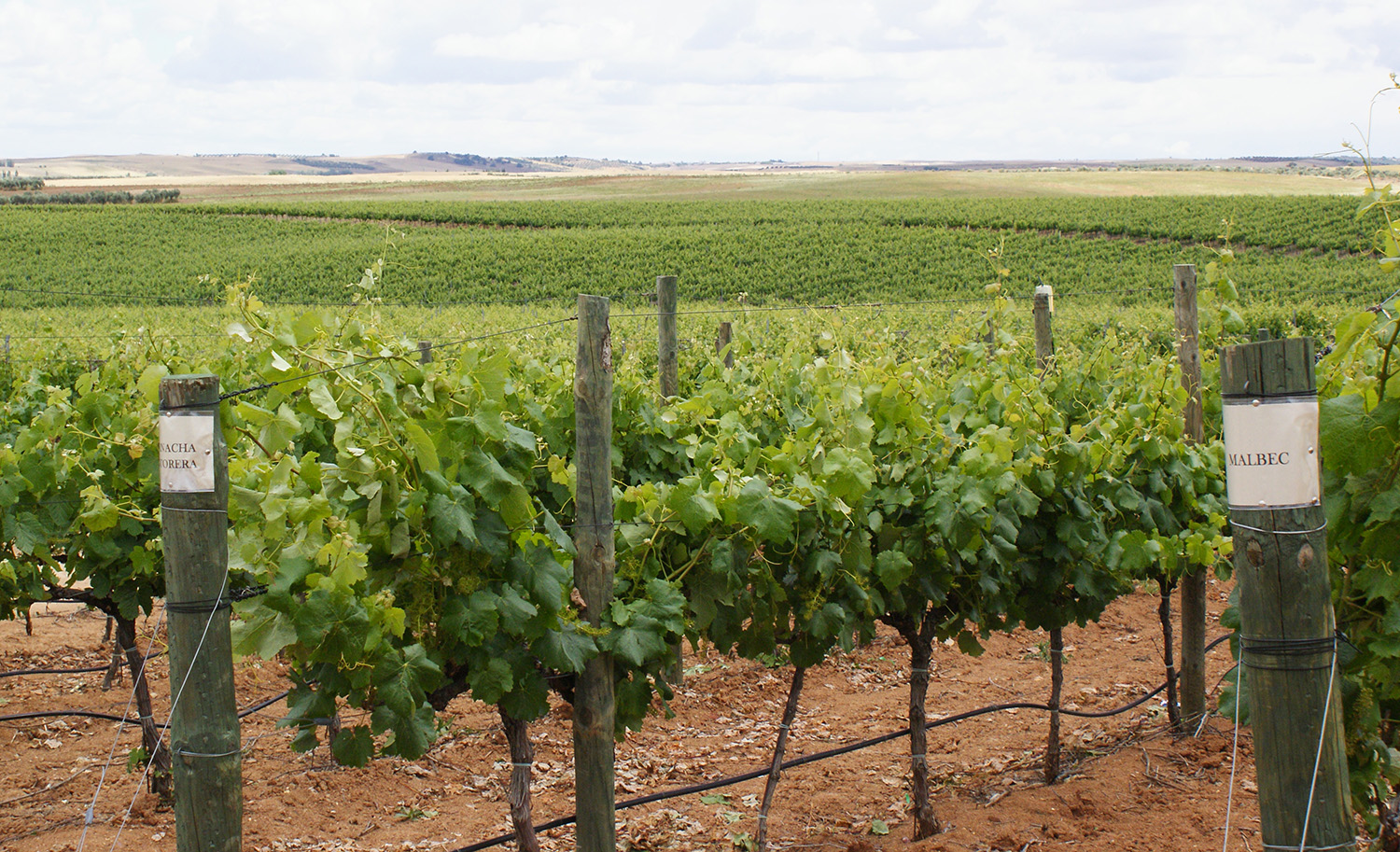 Jardin experimental Finca Constancia