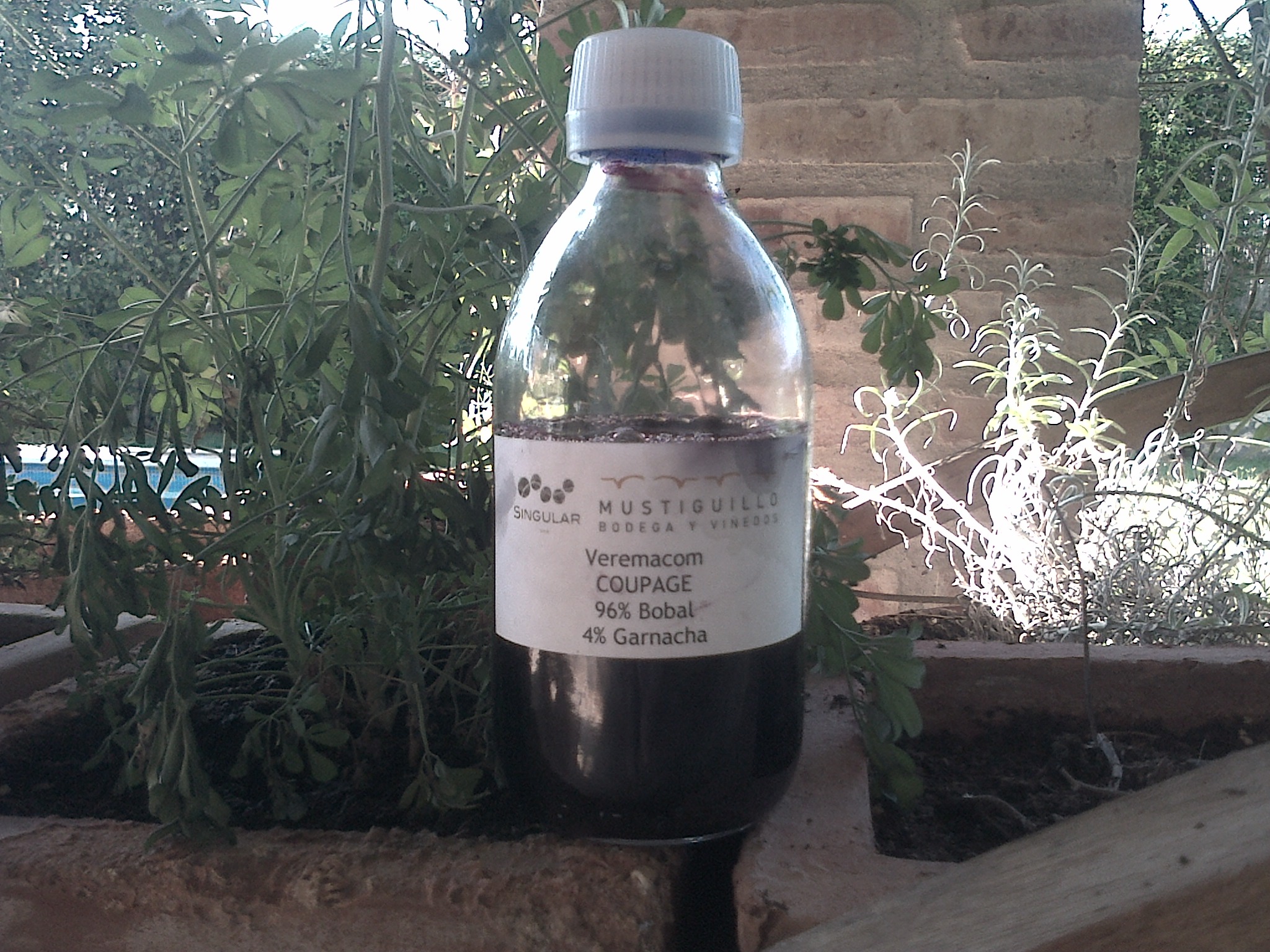 Aurelio_Gómez-Miranda_SingularWINE_Verema