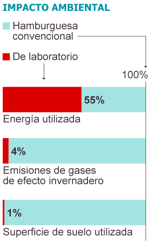 Fuente: Universidad de Maastricht. / EL PAÍS