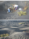 Vinos-de-canarias-la-geria-lanzarote_thumb