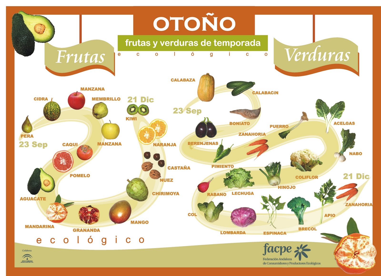 Frutas y Verduras - Otoño