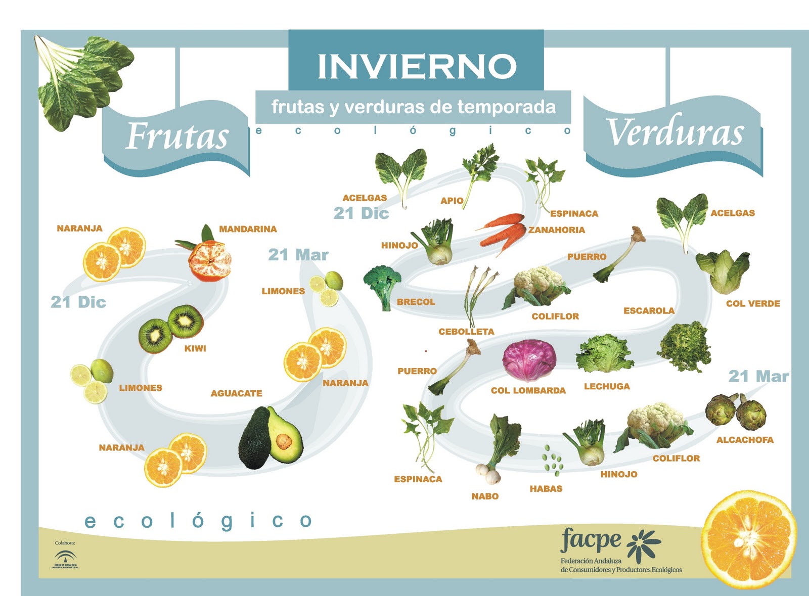Frutas y Verduras - Invierno