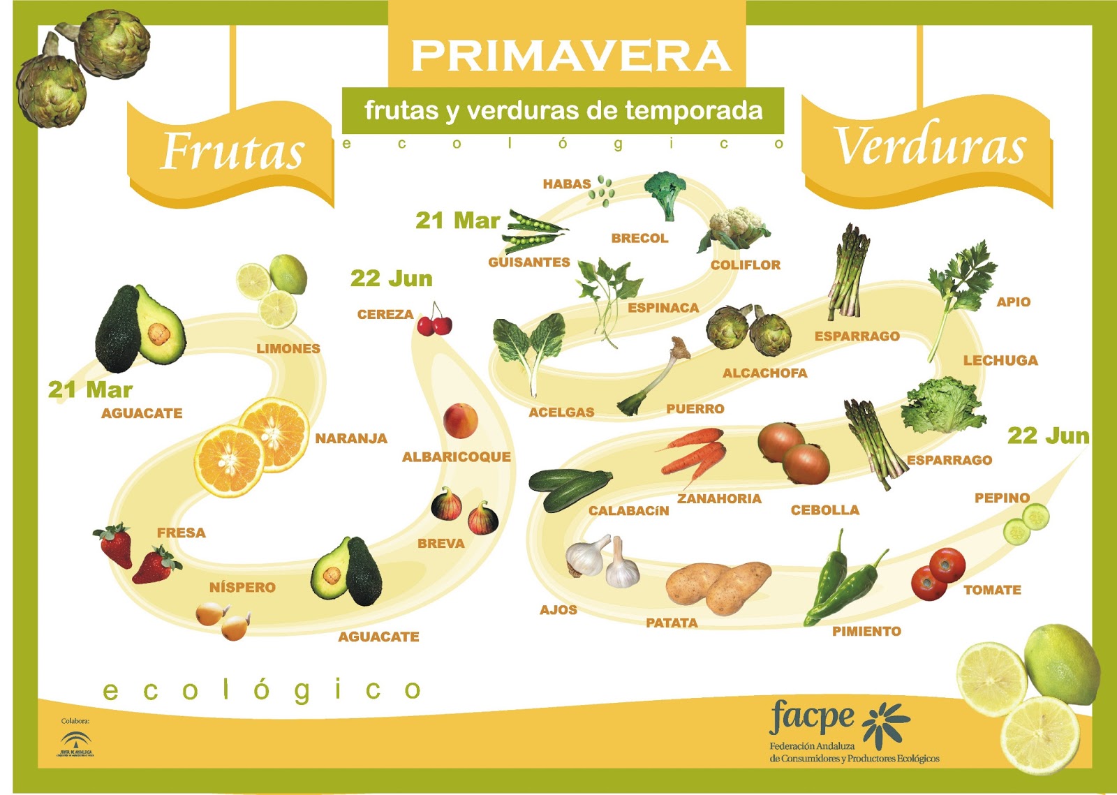 Frutas y Verduras - Primavera