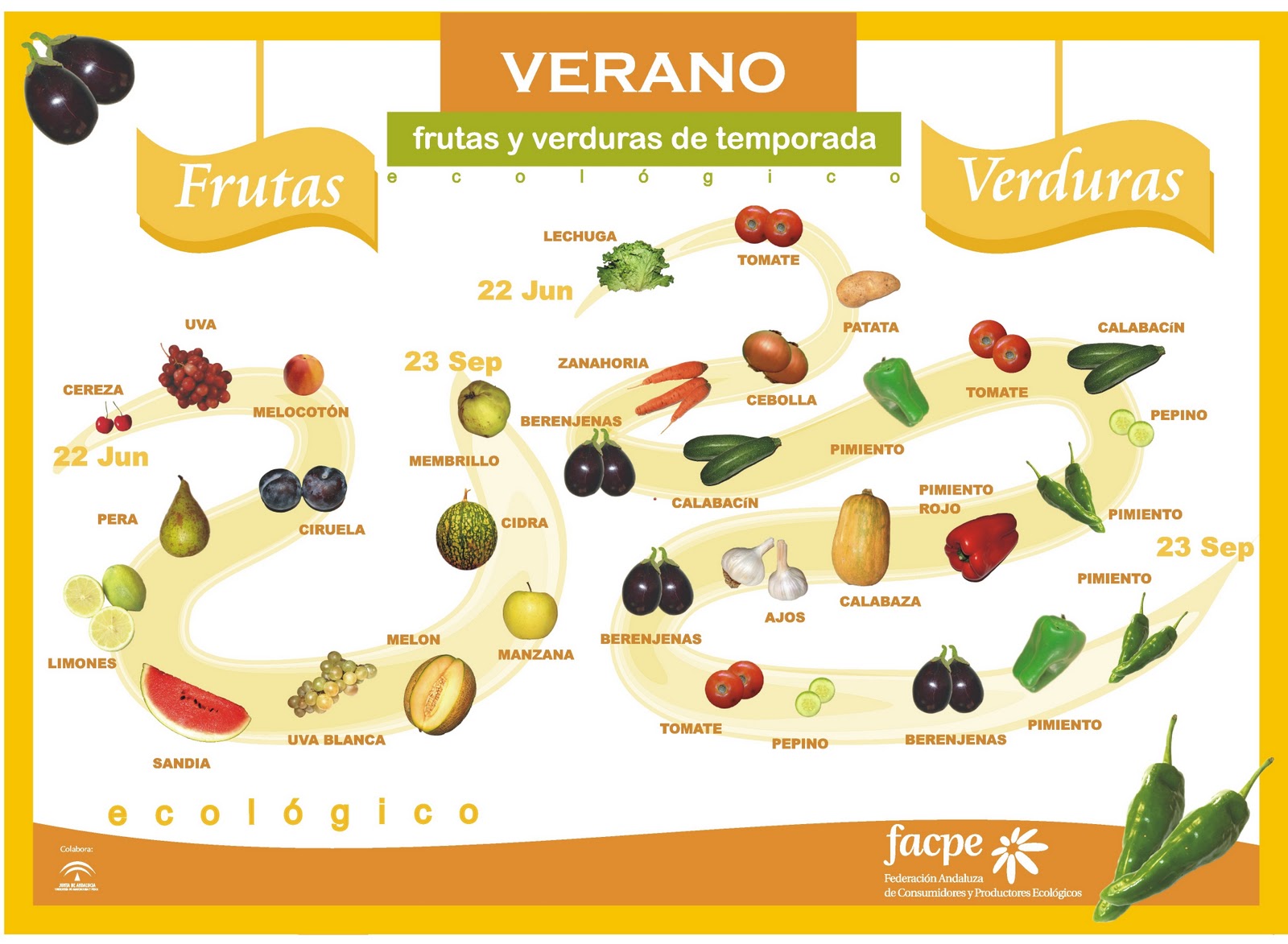 Frutas y Verduras - Verano