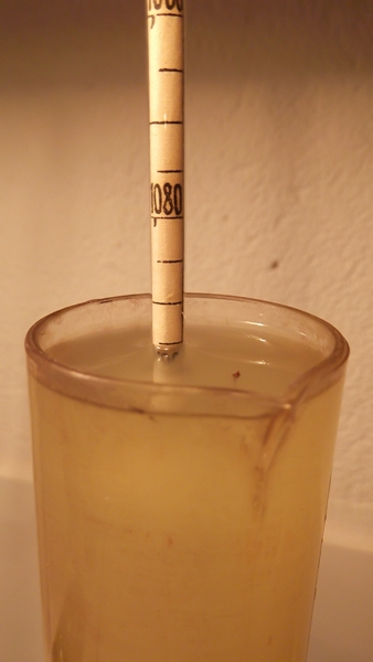 Densidad Verdejo con maceración
