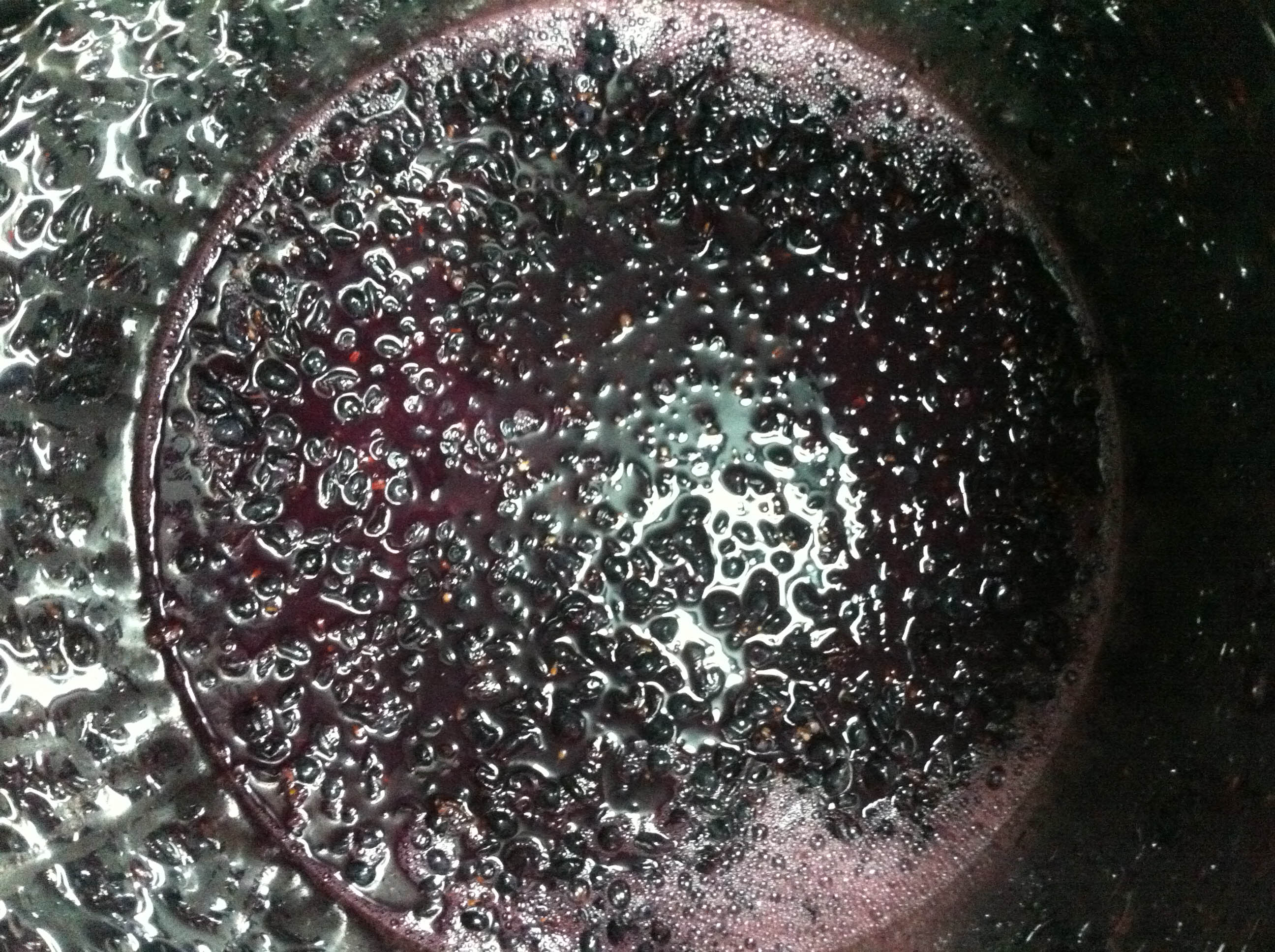 Depósito pequeño de mencía, de sobre 60 kg., a las 2 horas de incorporar un vaso de mosto en fermentación del otro depósito