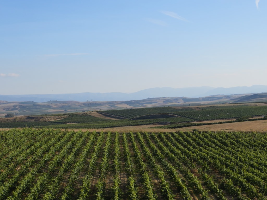viñedos Beronia