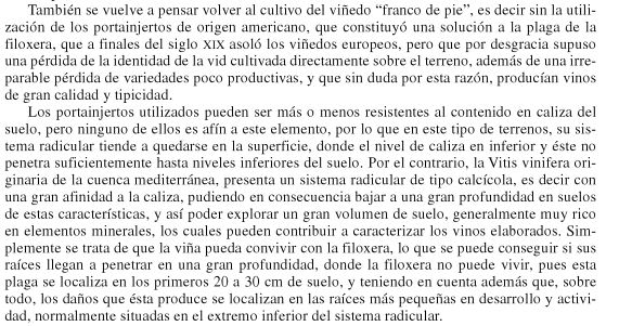 Buscando algo más de información al respecto encontré un extracto del tratado de enología de Hidalgo que da una explicación razonable a esto.  Por cierto, sabeis desde cuando está prohibida la plantación sin portainjertos autorizado? Supongo que en la mayoría de los casos de plantaciones legales, hablar de cepas de pie franco es hablar también de cepas viejas