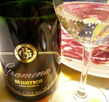 Cata-virtual-jamón-iberico-cava-gramona_col