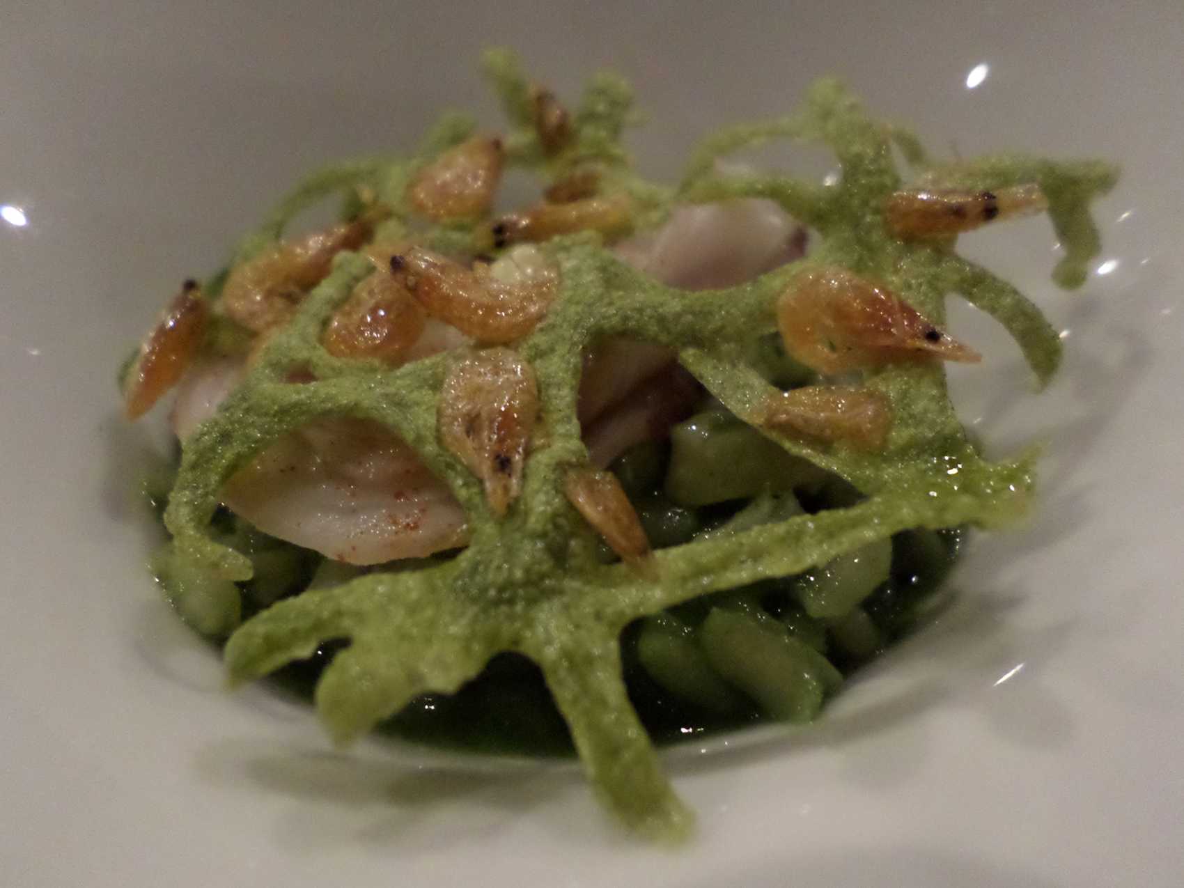 Aurelio_Gómez-Miranda_bloG-M_Restaurante_La_Salita_Rissoto_placton