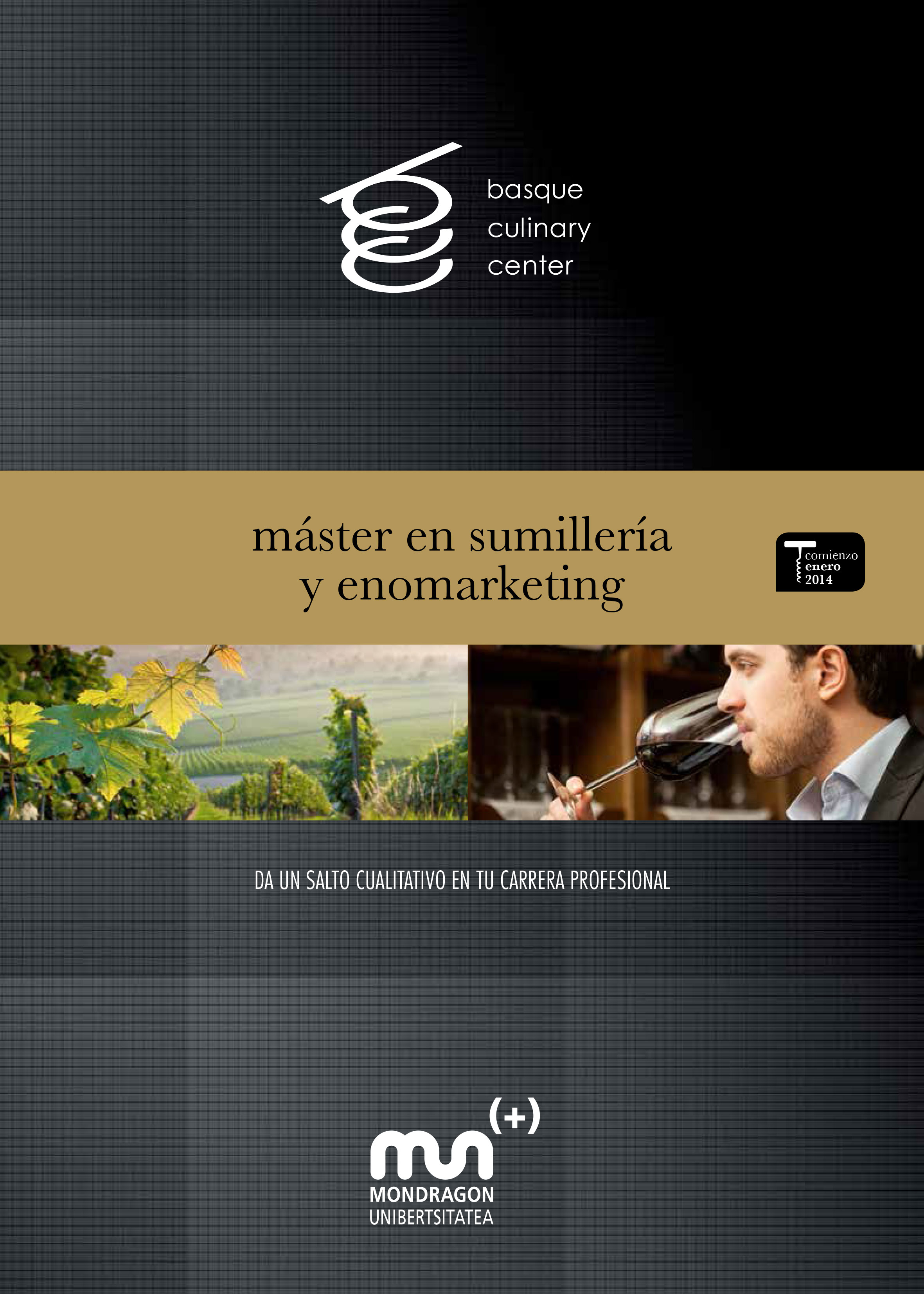 Máster en sumillería y enomarketing