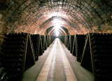 Celler-jaume-cavas-codorniu_col