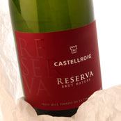 Castellroig