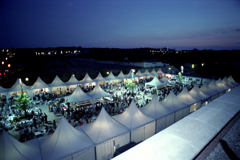 Festival del vino Somontano
