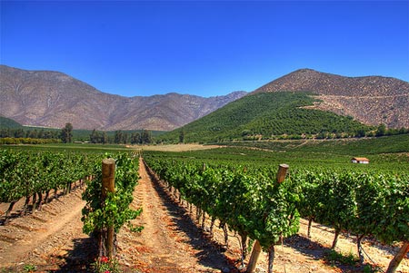 9. Chile: mejor región de vino del mundo