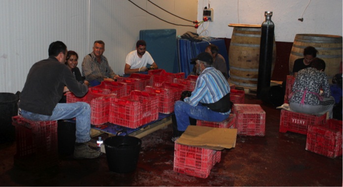MANUALIDADES_Seleccionando Los tres dones - Abrí las Alas