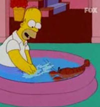 Homer y su mascota