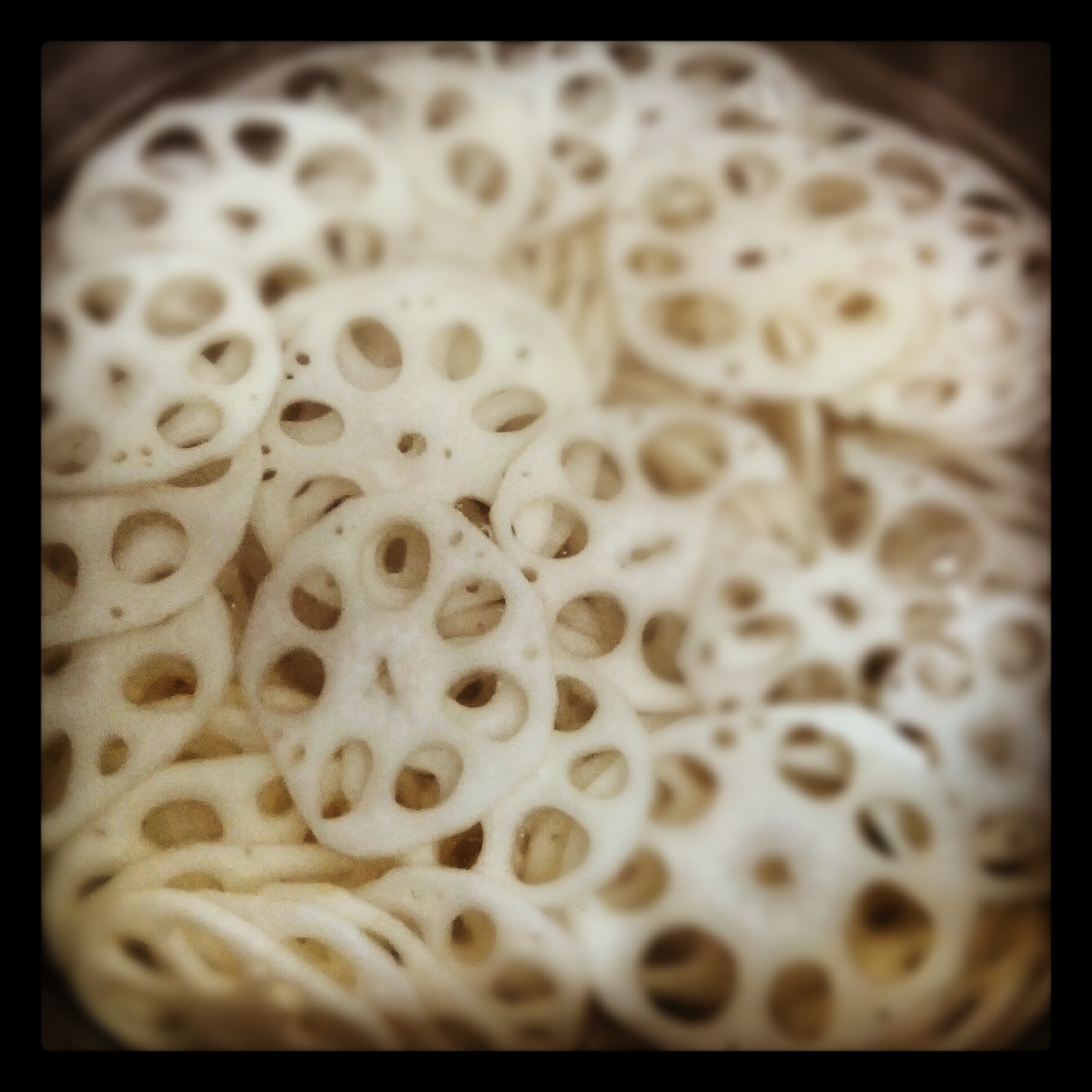 Flor de loto