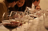 Cursos-de-cata-enoturismo-la-rioja_col