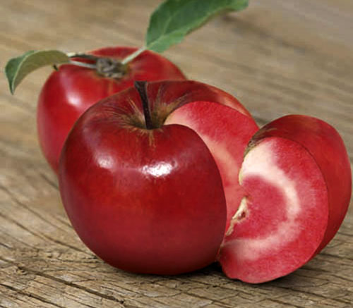 Manzana Redlove, híbrido de manzana y tomate.