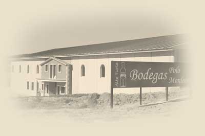 bodega