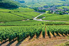 Terroir-vino-terruño_thumb