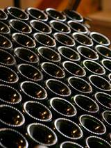 Modelo-matematico-espumosos-vino-cava_col