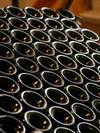 Modelo-matematico-espumosos-vino-cava_thumb