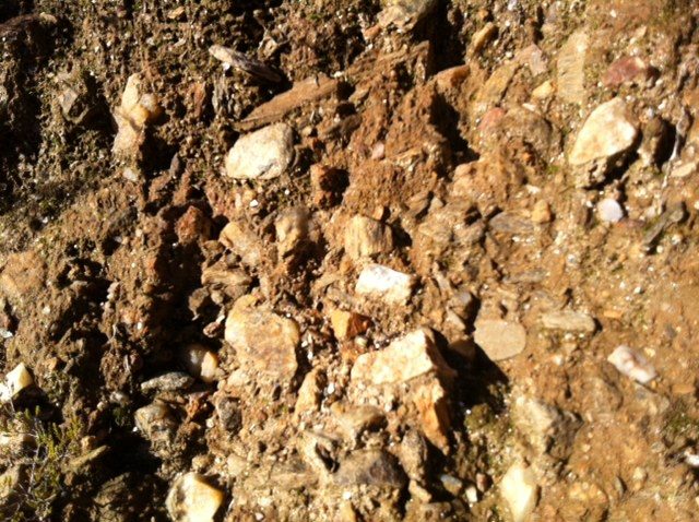 #VeremaVLC_2014_Ribeiros_do_Avia_exquistos