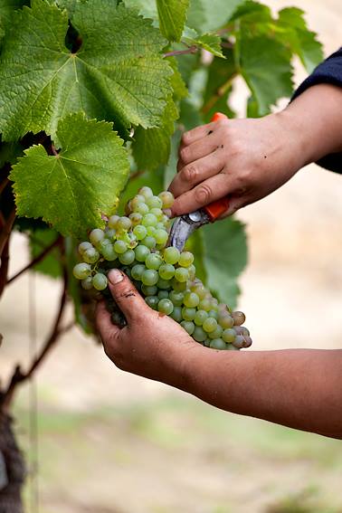 #VeremaVLC_2014_Ribeiros_do_Avia_