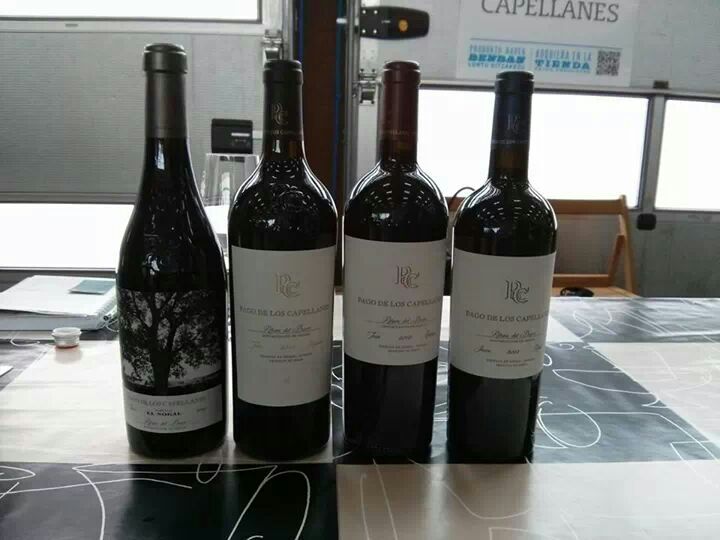 Pago de los Capellanes