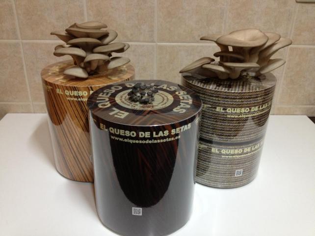 Muestra de las distintas variedades