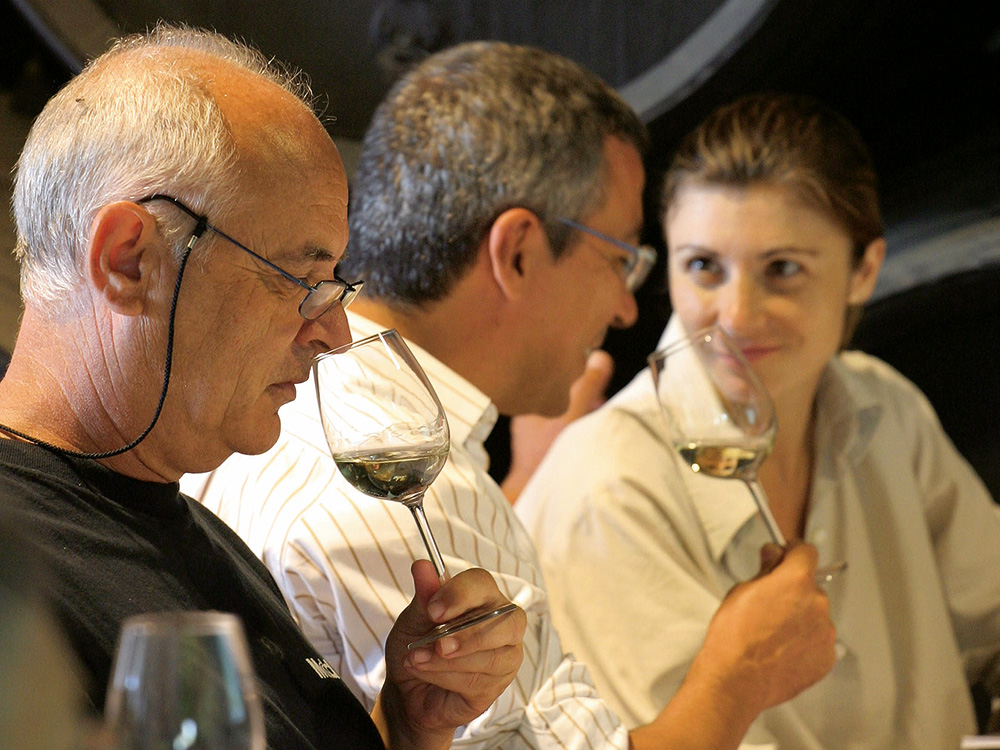 Catando Vinos