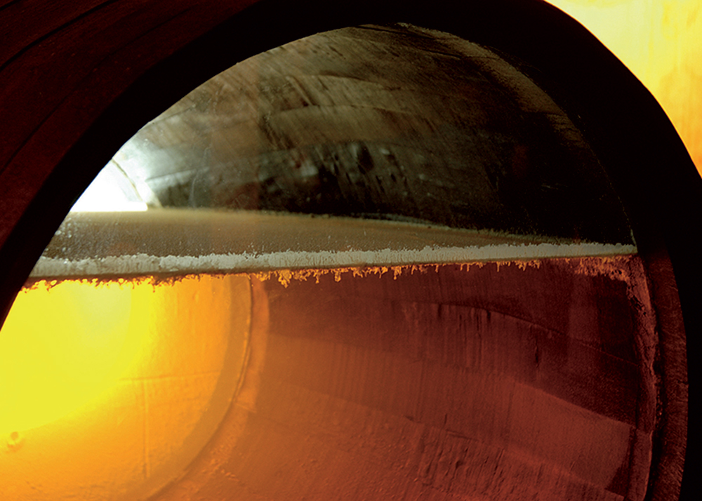 Velo de Flor del vino de Jerez