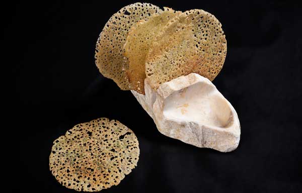 Pan crujiente de hierbas