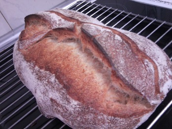 Cordón de Borgoña en pan de cerveza.