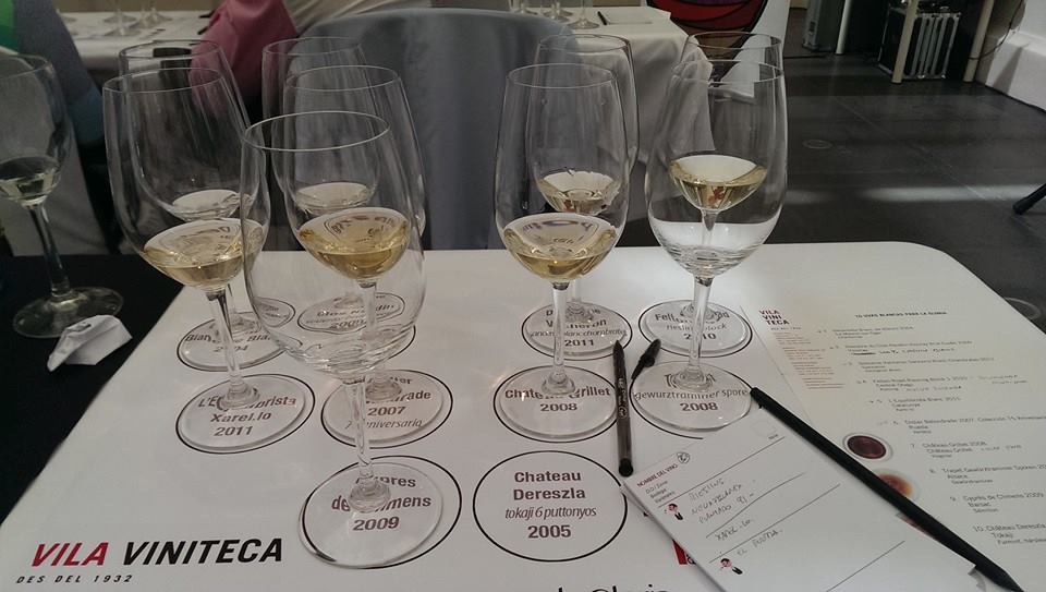 VeremaMalaga_cata_vila_viniteca_10_uvas_blancas_gloria