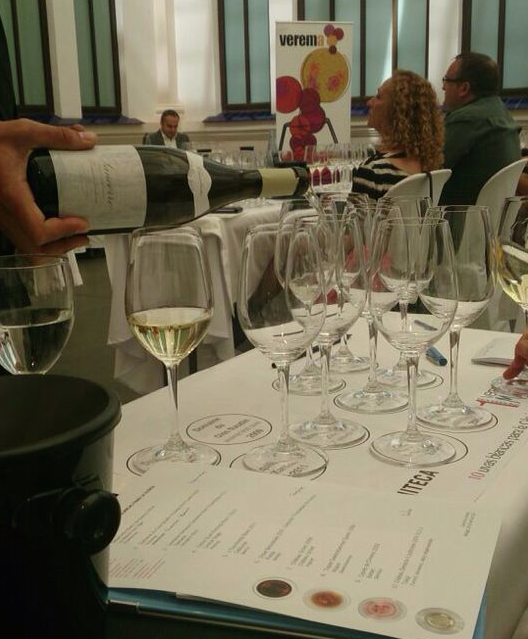 VeremaMalaga_cata_vila_viniteca_10_uvas_blancas_gloria_Sancerre