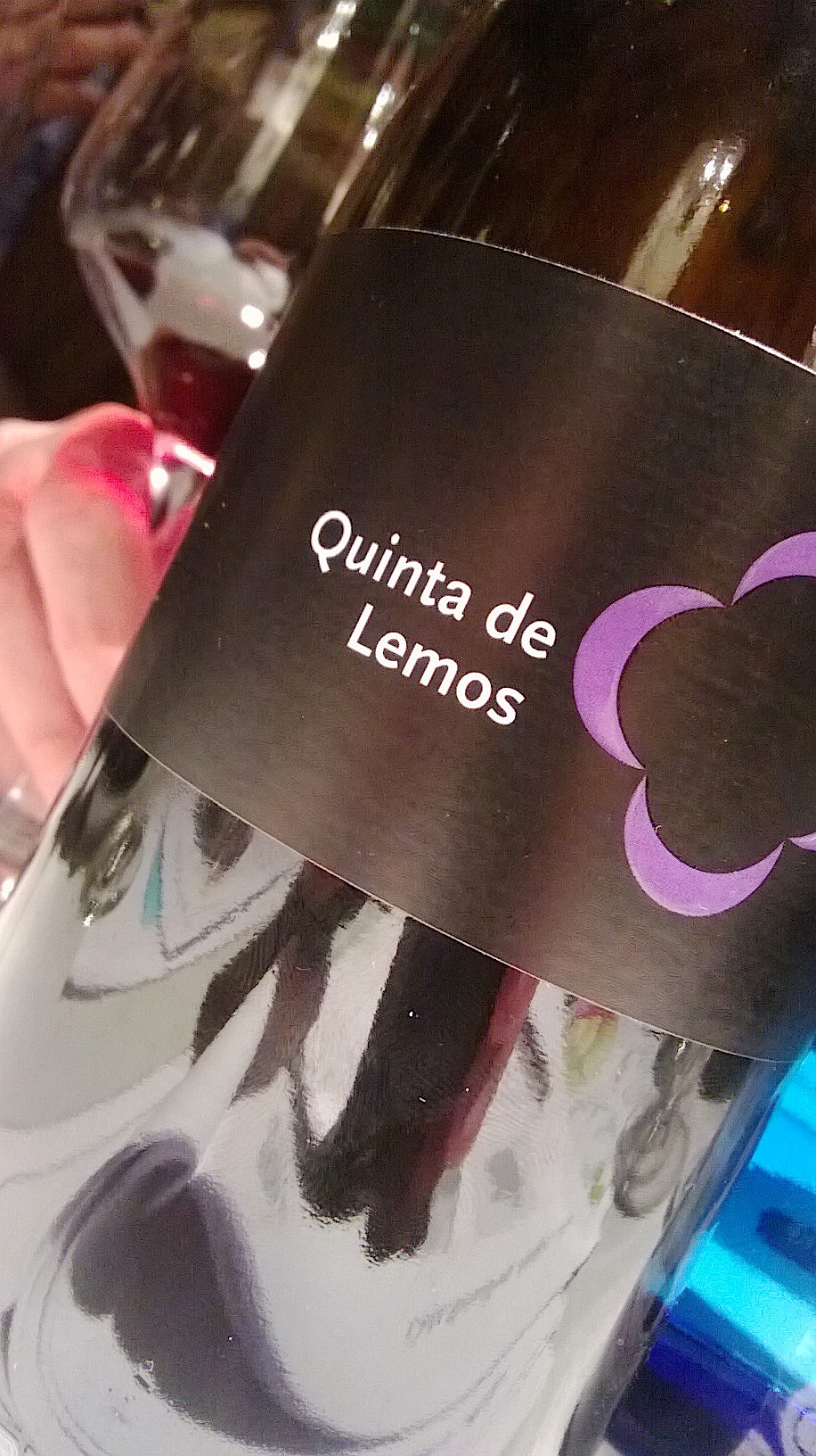 quinta lemos