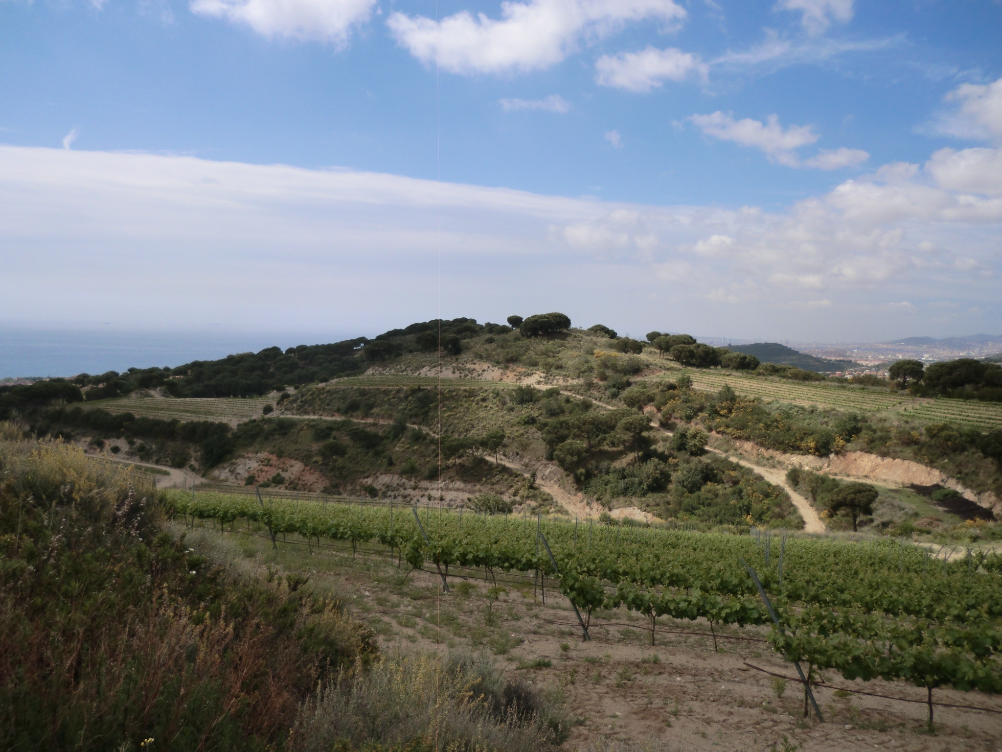 Panoràmica