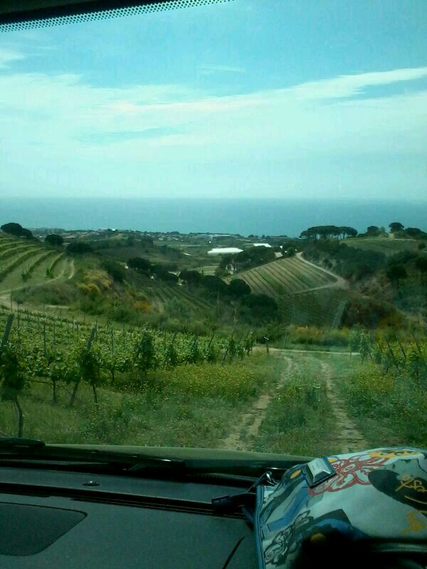 Descenso a la bodega