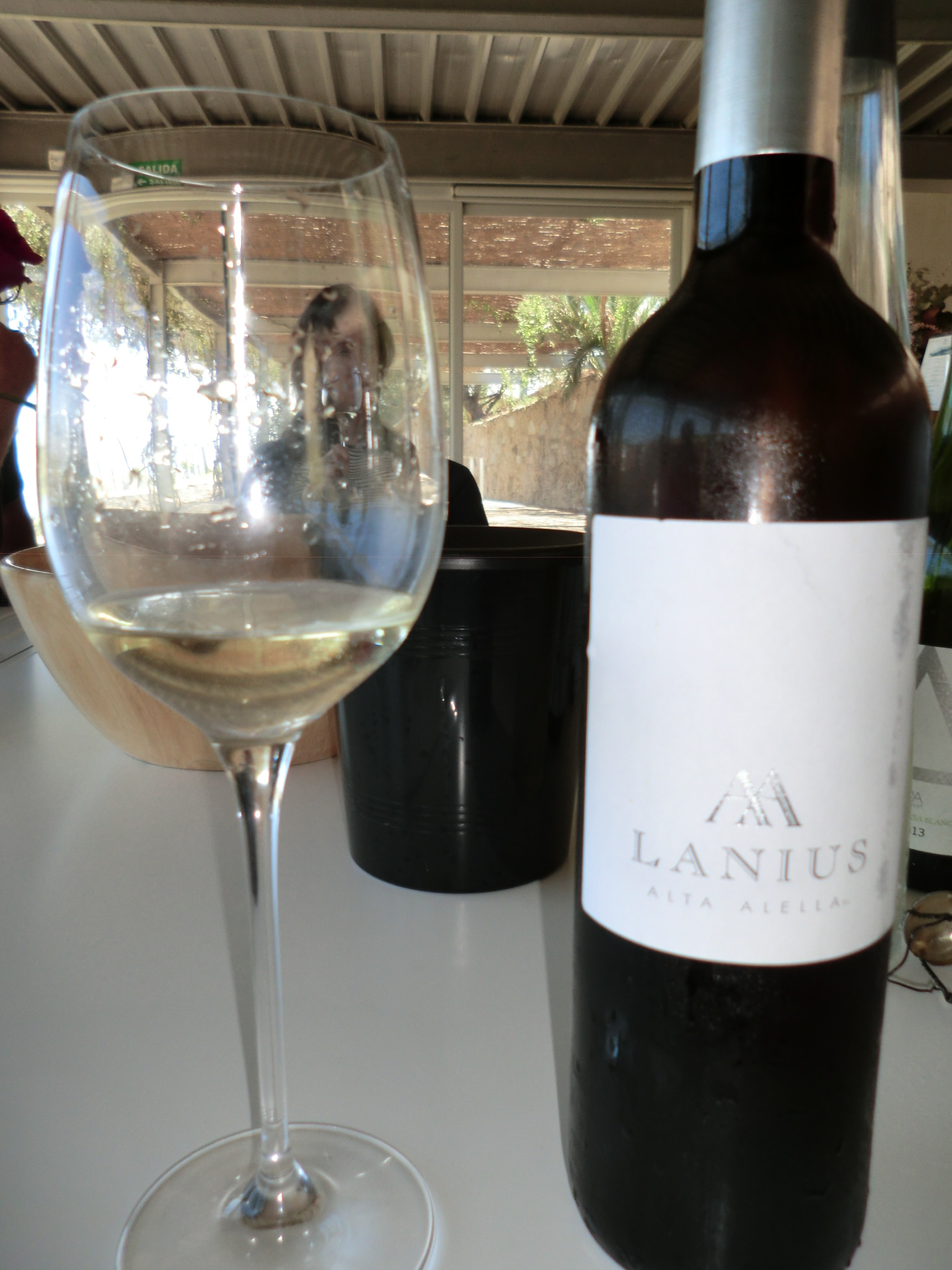 Lanius (pansa blanca y otras)