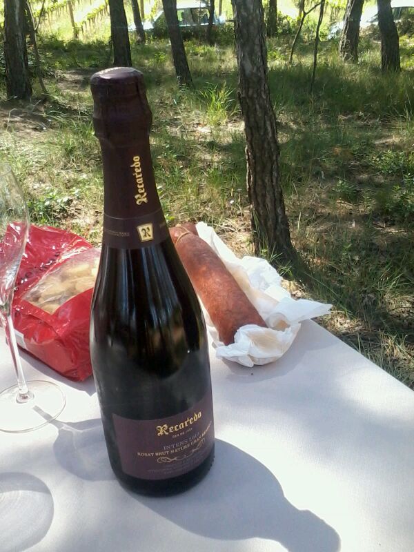 Cava Intens, el primer cava del mundo biodinámico. Almuerzo en los viñedos de Recaredo.