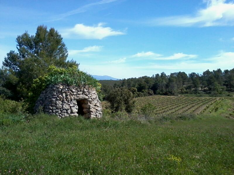 Cabaña de piedra en los viñedos.